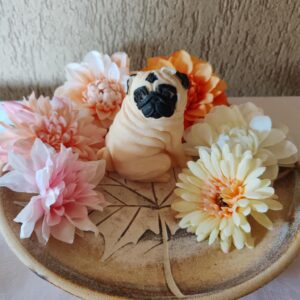 Mopsz formagyertya (egyedileg kép alapján is )