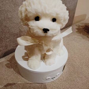 Bolognese/havanese viasz szobor